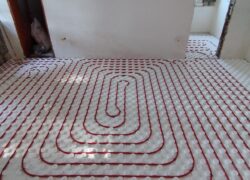 WhatsApp Image 2026-02-04 at 11.56.43